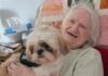 Fairways Care Home Falls Head Over Paws For Adorable Romeo