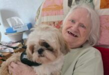 Fairways Care Home Falls Head Over Paws For Adorable Romeo