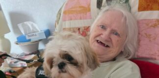 Fairways Care Home Falls Head Over Paws For Adorable Romeo