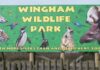 Wingham Wildlife Park To Open First Phase Of Major Expansion