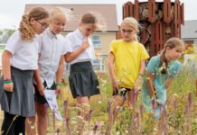 Year 4 Pupils Buzzing To Support Kent New Homes Sustainability Initiative