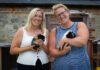 Housebuilder Backs Dandelion Time As 2026 Charity Partner