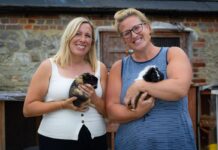Housebuilder Backs Dandelion Time As 2026 Charity Partner