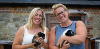 Housebuilder Backs Dandelion Time As 2026 Charity Partner